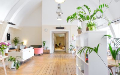 How to Make Your Home Office More Green