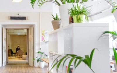 How to Make Your Home Office More Green