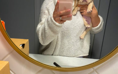 How To House Train A Puppy