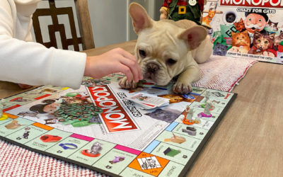 Family Game Night with 4 Legged Friends