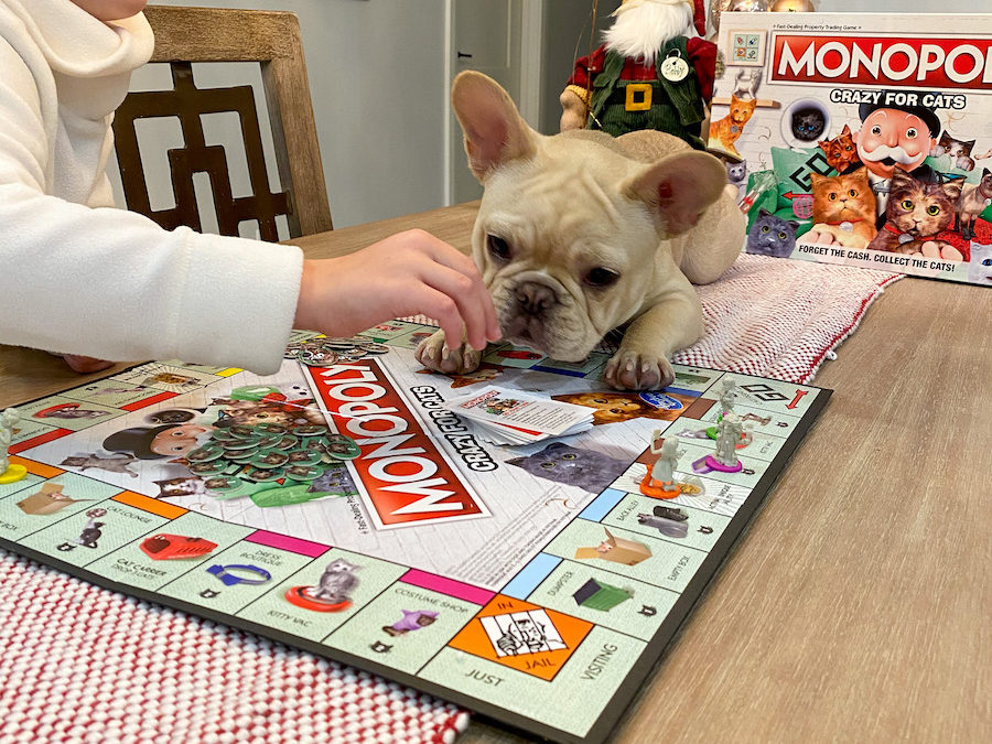Family Game Night with 4 Legged Friends
