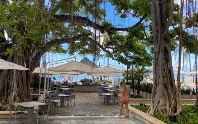 What Does It Mean To Be Intentional