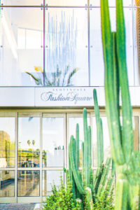 Visit Scottsdale Fashion Square