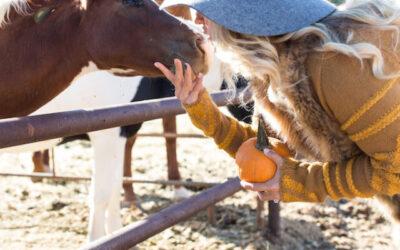 7 Fall Events to Attend in Arizona