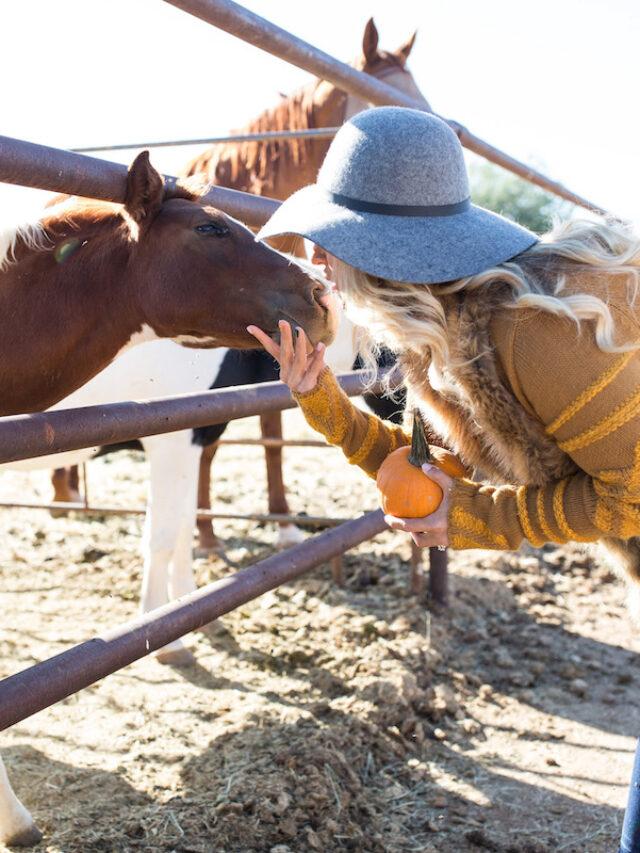 7 Fall Events to Attend in Arizona