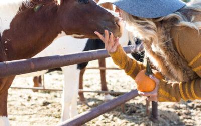 TOP 7 Things to Try in Arizona this Fall