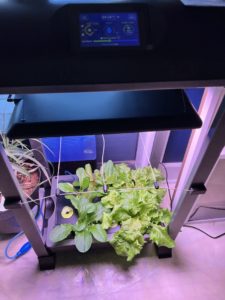 AeroGarden at home