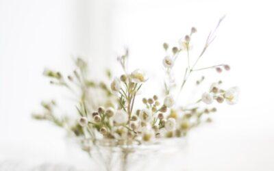 17+ HYGGE Christmas Ideas for 2023