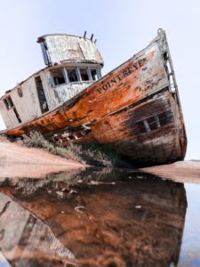 Point Reyes National Seashore | The Ultimate California Bucket List for Nature Lovers