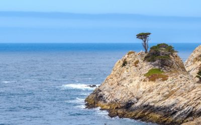 The Ultimate Big Sur Road Trip Itinerary