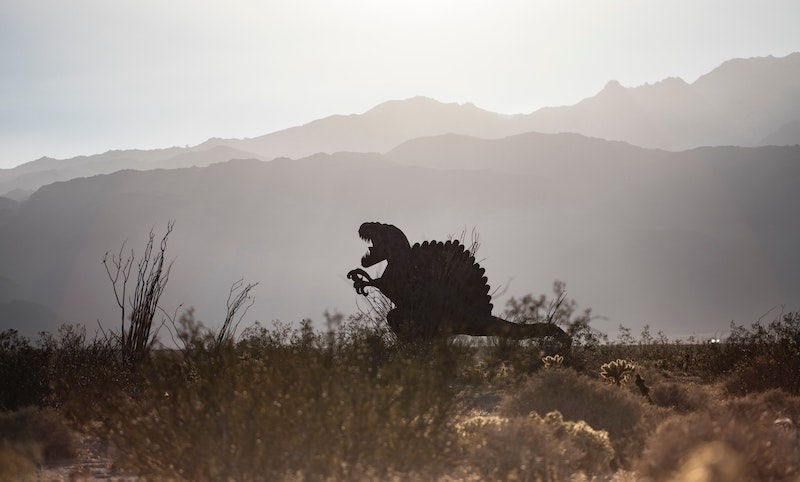 Galleta Meadows at Borrego Springs