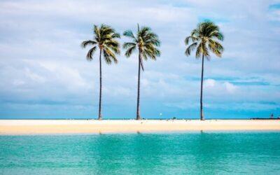 Top Things to Do on the Big Island in Hawaii