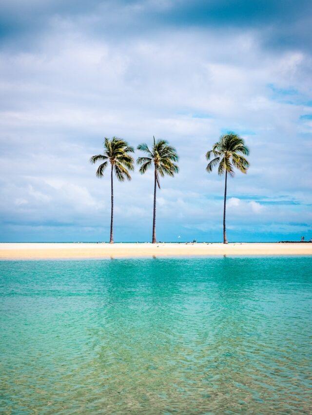 Top Things to Do on the Big Island in Hawaii