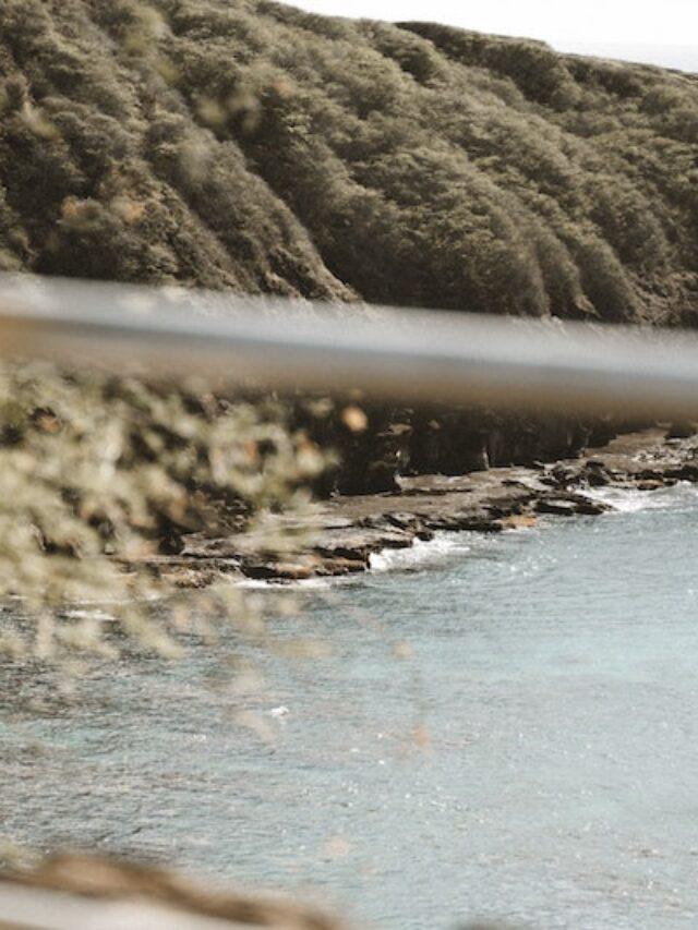 The Most Scenic Drives in Hawaii For Jaw-Dropping Views – Oahu