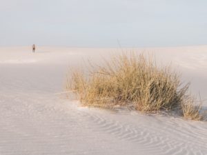 White Sands National Park