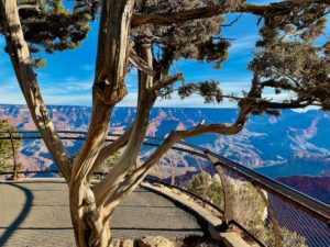 Grand Canyon National Park