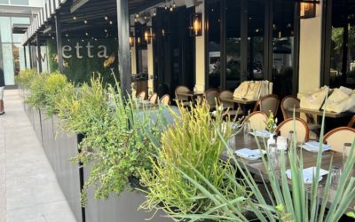 Arizona Favorites: A Guide to the Best Activities, Restaurants, & Places to Visit in Arizona