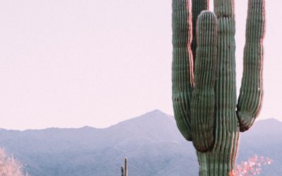 The Most Scenic Drives in Arizona