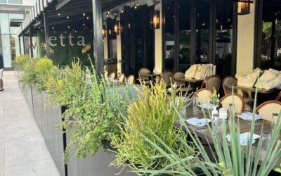 Shop Small: Arizona Based, Women-Owned Small Businesses