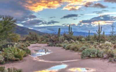 Places in Arizona You’ve Got to Visit for Desert Magic