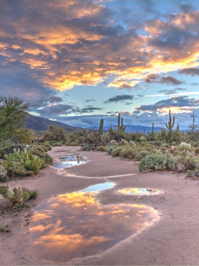 Places in Arizona You’ve Got to Visit for Desert Magic