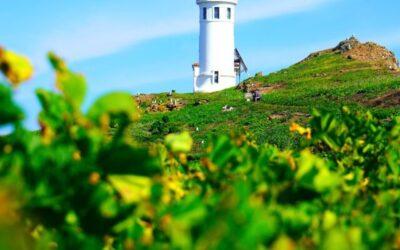 6 Unique Hidden Gems for the Ultimate California Road Trip