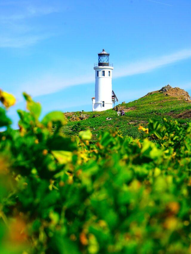 6 Unique Hidden Gems for the Ultimate California Road Trip