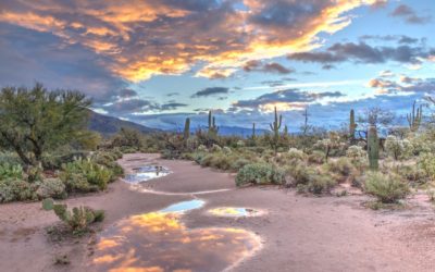 7 Amazing Natural Destinations in Arizona
