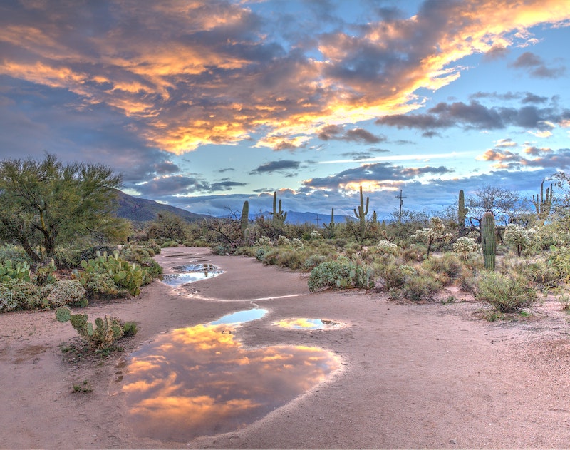 7 Amazing Natural Destinations in Arizona