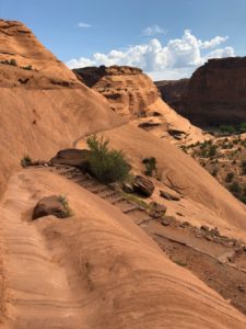 Places in Arizona Youve Got to Visit for Desert Magic