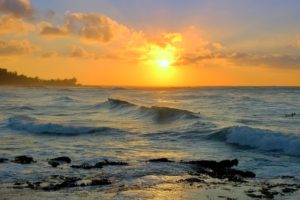 Laniakea Beach