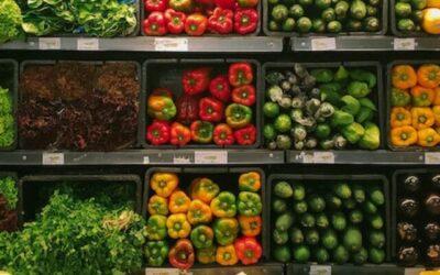 19 Sustainable New Year’s Resolutions