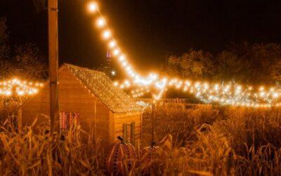 17 Cozy Fall Activities