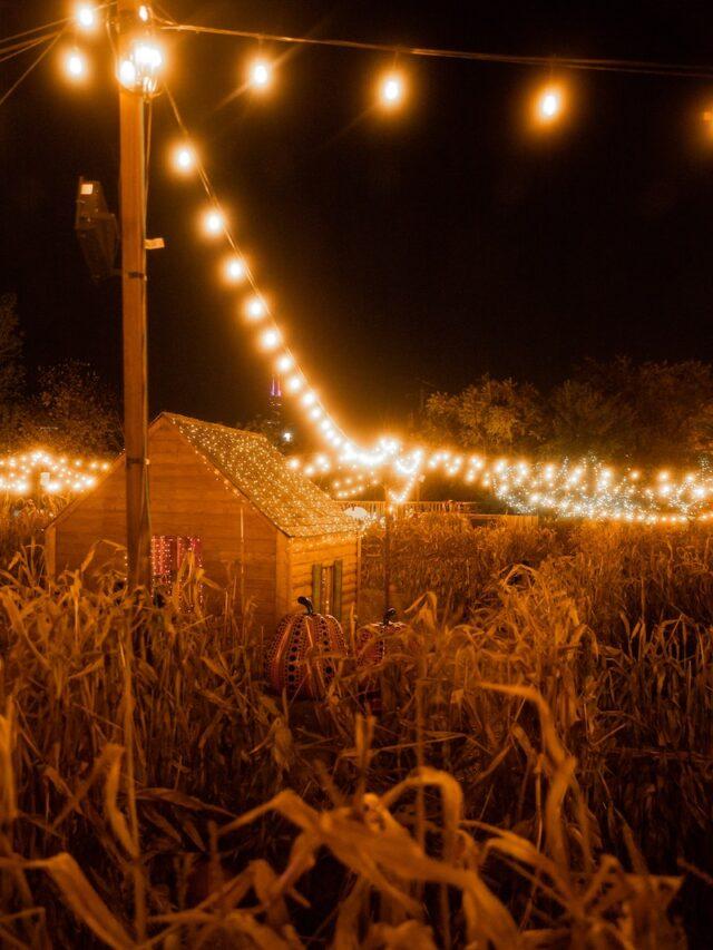 17 Cozy Fall Activities