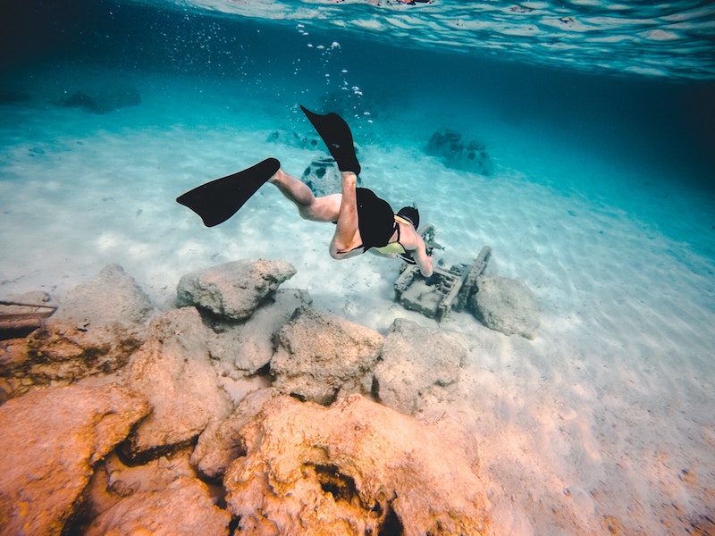 Snorkeling | The Most Incredible Things to Do on the Big Island