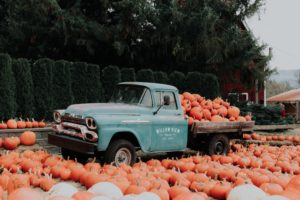 Pumpkin patch - Cozy Things To Do In The Fall