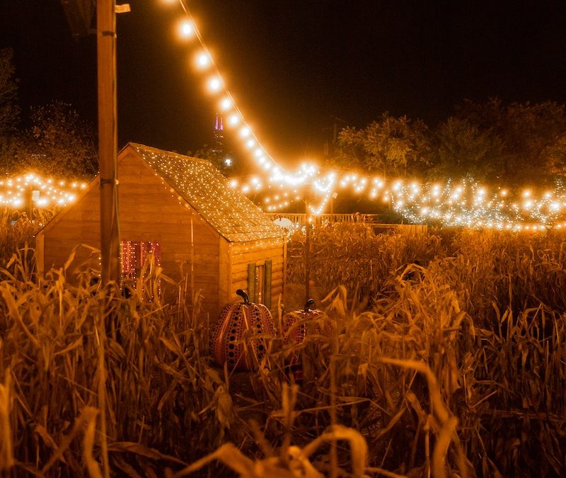 17 Cozy Things To Do In The Fall