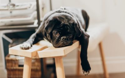 Being Aware Of Your Emotions