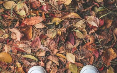 Stay Trendy This Fall: Styling Sneakers for Fall