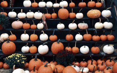 MUST Visit Fall Events in Arizona