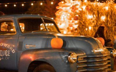 14 Best Things to Do in the Fall