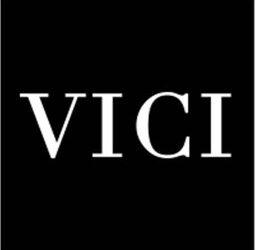Vici Collection Review: Chic Style for Every Occasion