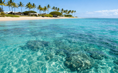 Best Snorkeling Near Ka’anapali: Maui Reef Guide